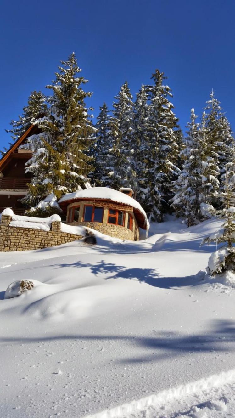 Jasmin - Villa *