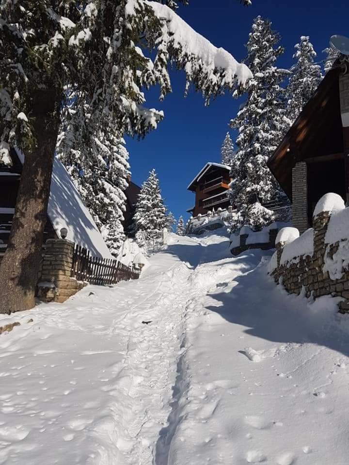 Villa Jasmin - *